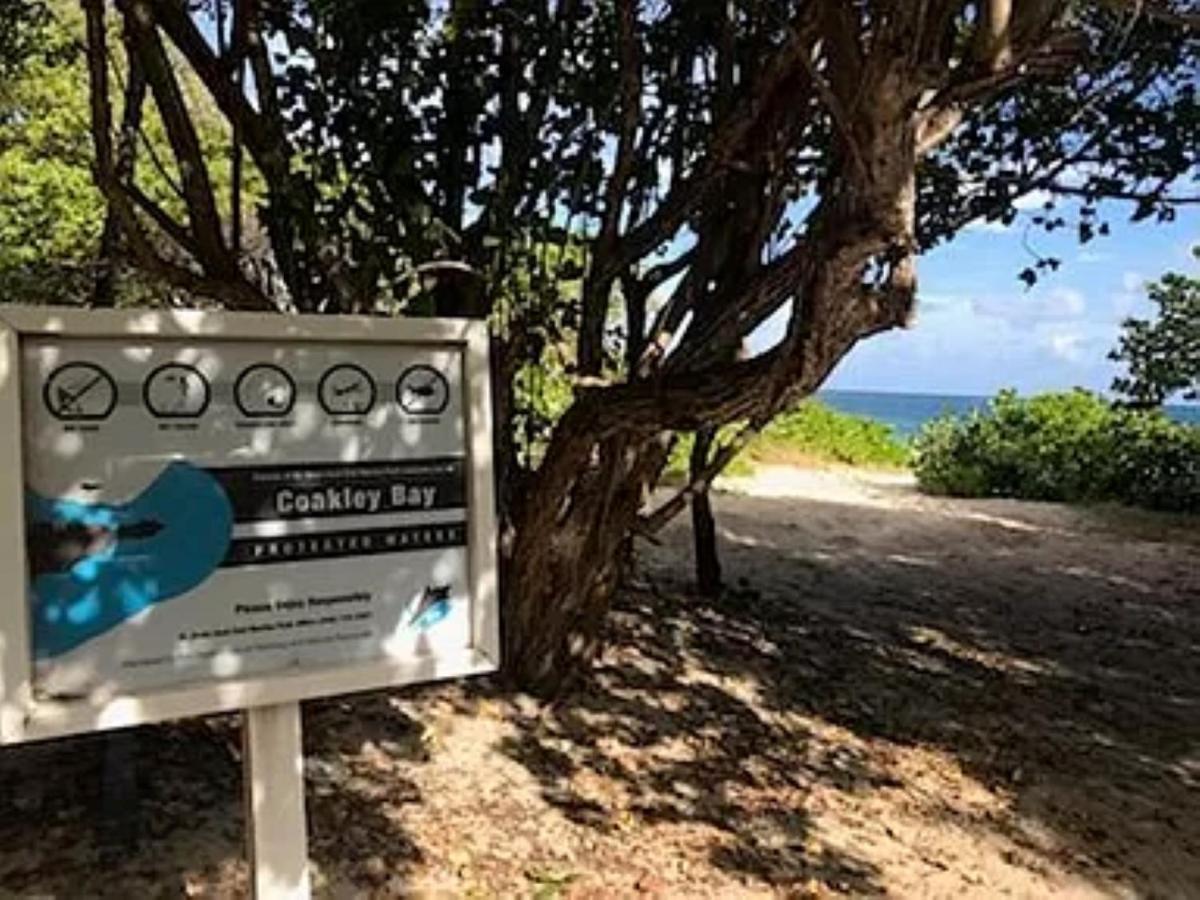 Апартаменты St Croix Bliss - Tranquil Retreat-Ocean Views-Island Breezes Кристианстед Экстерьер фото